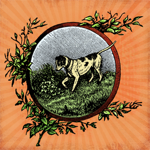 County Dog Design by Pegeen Shean 